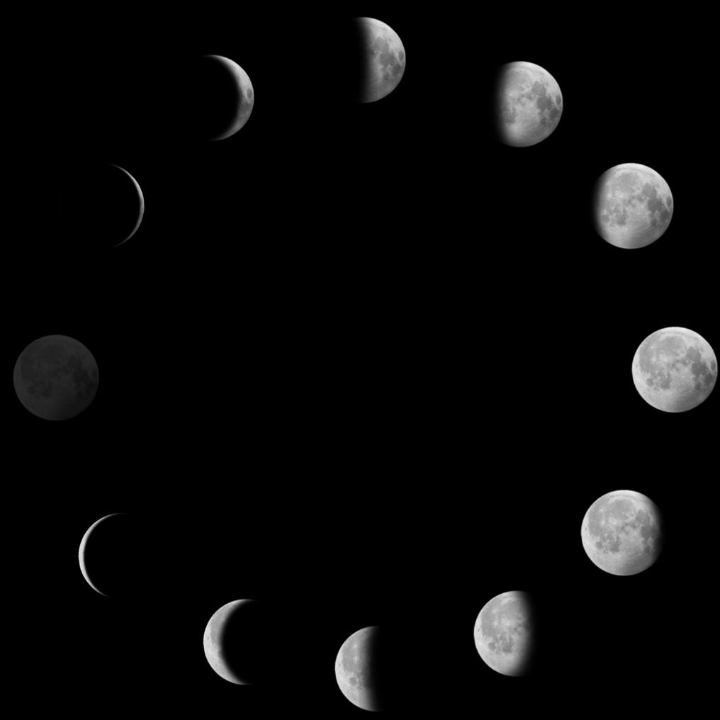 MOON-月の満ち欠け- CRESCENT MOON